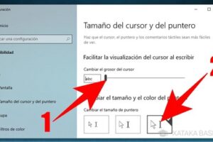 Cómo cambiar el puntero del mouse por uno personalizado