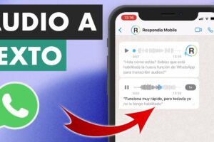 Cómo convertir audios de WhatsApp a texto 7 Cómo convertir audios de WhatsApp a texto