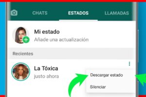 Cómo descargar estados de WhatsApp de mis contactos 5 Cómo descargar estados de WhatsApp de mis contactos