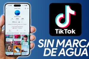 Cómo descargar videos de TikTok sin marca de agua 5 Cómo descargar videos de TikTok sin marca de agua