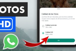 Cómo enviar fotos en alta calidad por WhatsApp