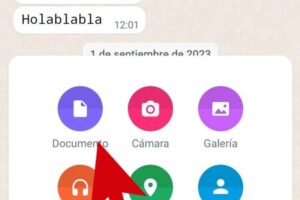 Cómo enviar fotos en calidad original por WhatsApp 8 Cómo enviar fotos en calidad original por WhatsApp