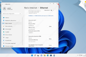 Cómo poner una IP fija en Windows 10/11