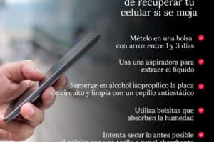 Qué hacer si mi celular se mojó y no quiere cargar 5 Qué hacer si mi celular se mojó y no quiere cargar