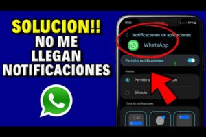 Solución: No me llegan las notificaciones de WhatsApp hasta que abro la app 8 Solución: No me llegan las notificaciones de WhatsApp hasta que abro la app