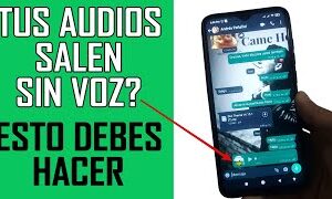 Solución: No se escuchan los audios de WhatsApp