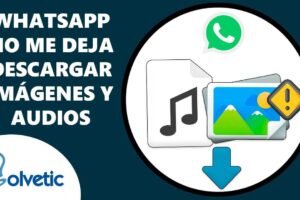 Solución: WhatsApp no descarga imágenes ni audios
