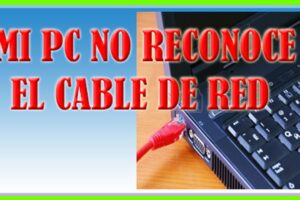 Solución: Windows no detecta el cable Ethernet